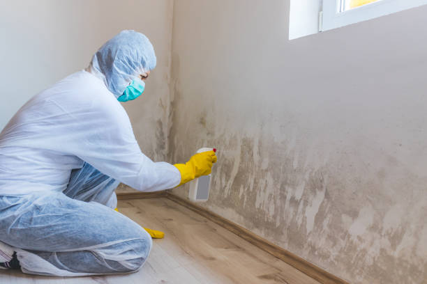 Licensed Commercial Mold Remediation service in Newport, OR - WQB Mold Removal