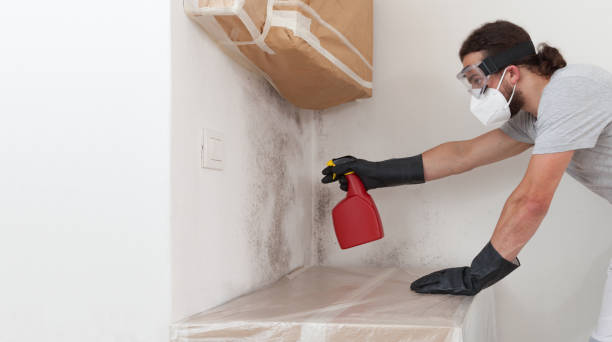 Professional Commercial Mold Remediation technician working in Newport, OR