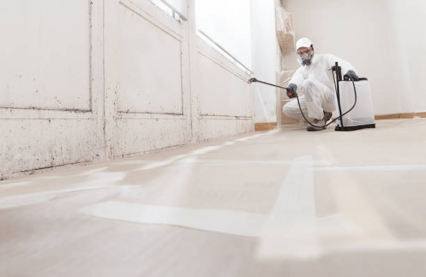 24/7 Emergency Commercial Mold Remediation experts in Newport, OR