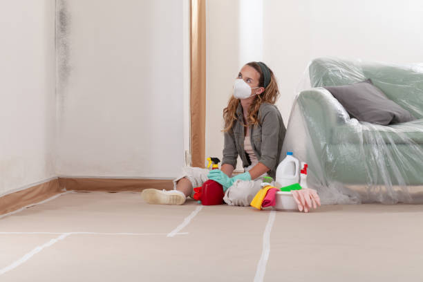 Reliable Commercial Mold Remediation contractor in Newport, OR by WQB Mold Removal