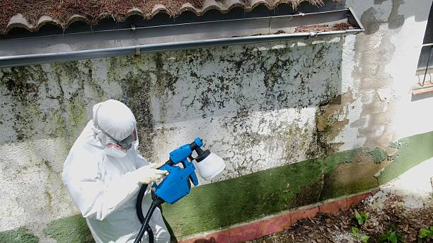 Top rated local Commercial Mold Remediation specialists in Newport, OR